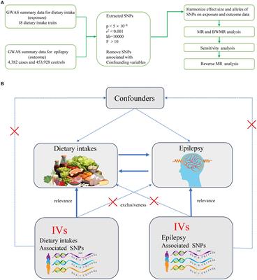 Potential causal link between dietary intake and epilepsy: a bidirectional and multivariable Mendelian randomization study